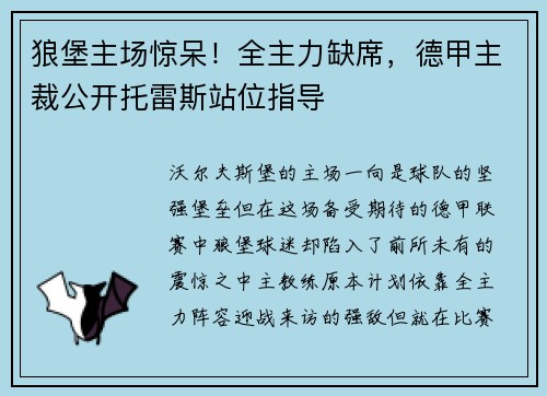 狼堡主场惊呆！全主力缺席，德甲主裁公开托雷斯站位指导