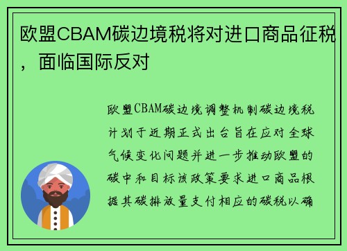 欧盟CBAM碳边境税将对进口商品征税，面临国际反对