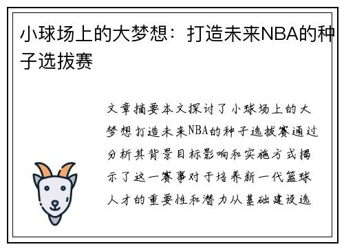 小球场上的大梦想：打造未来NBA的种子选拔赛