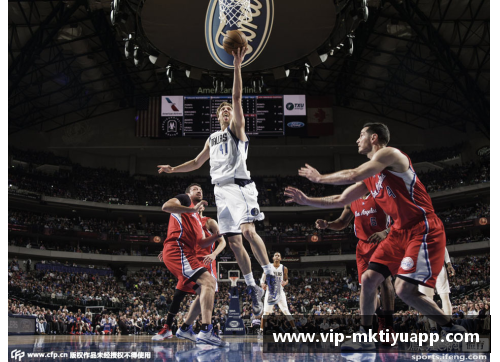 NBA精灵：历史、明星与传奇
